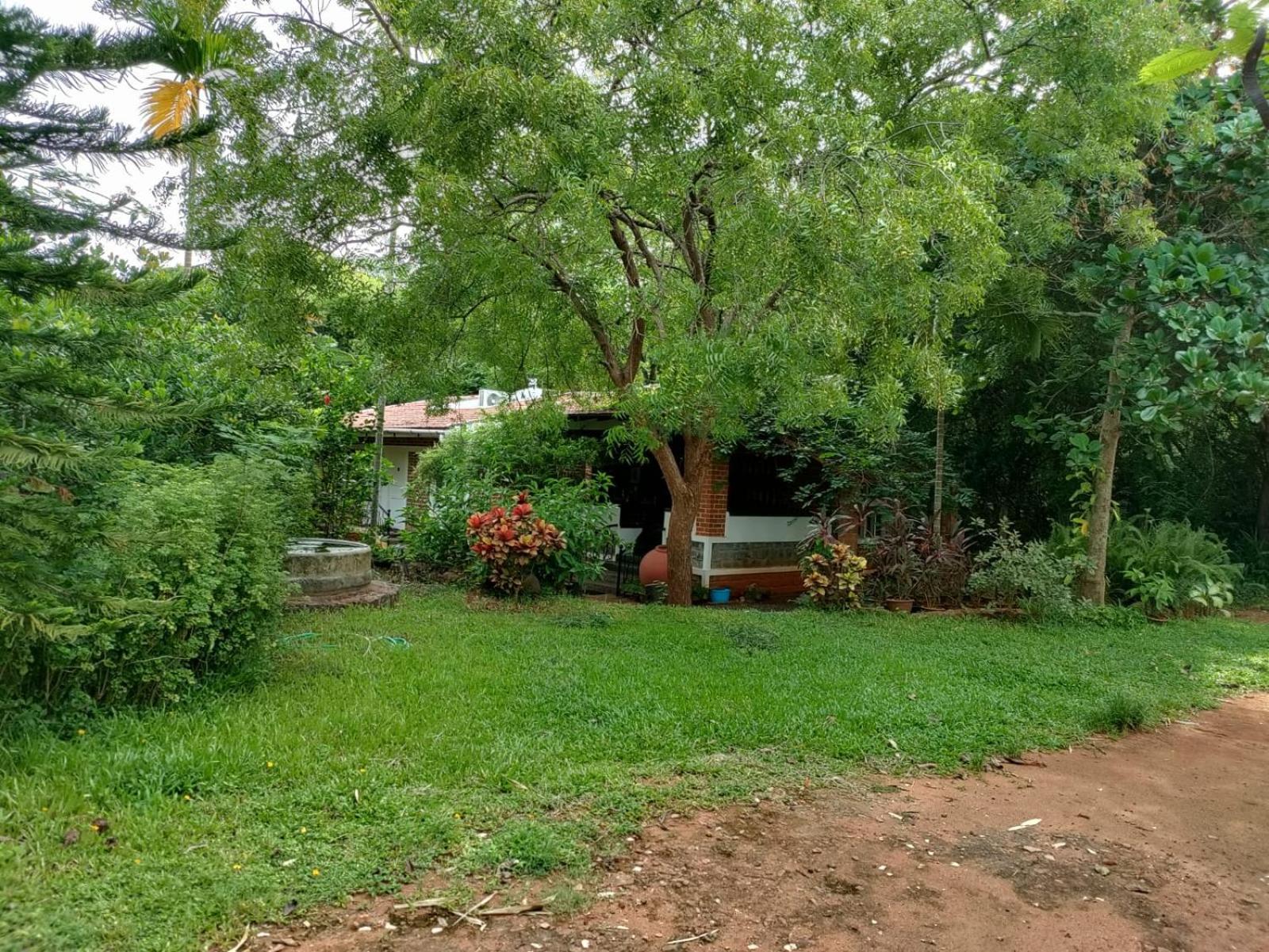 Inn Pondiville Forest Retreat Pondicherry Exterior foto