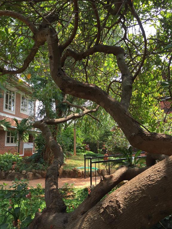 Inn Pondiville Forest Retreat Pondicherry Exterior foto